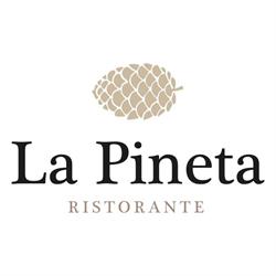 Ristorante Pizzeria La Pineta Da Peppino a Torricella Di Mellini Giuseppe, Torricella in Sabina orari di apertura