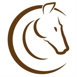 Ristorante Cavallino Bianco, Chieri orari di apertura