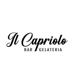 BAR - GELATERIA CAPRIOLO S.N.C. DI BONINI MICHELE E C., Reggio Emilia orari di apertura
