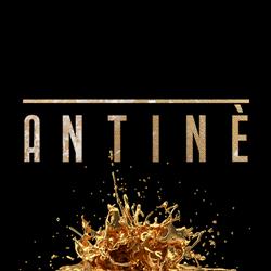 Ristorante Antine', Barbaresco orari di apertura
