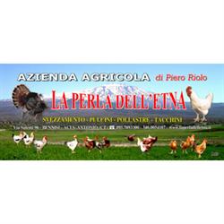 Azienda Agricola La Perla dell'Etna eredi di Riolo Pietro, Aci Sant'Antonio orari di apertura
