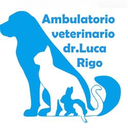 Clinica Veterinaria dott. Rigo Luca, Villa Bartolomea orari di apertura