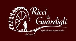Ricci & Guardigli SRL, Forlì orari di apertura