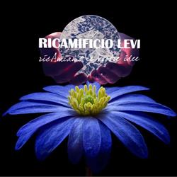 Ricamificio Levi Srl, Cairate orari di apertura