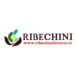 Ribechini Littorio e C., Vinovo orari di apertura