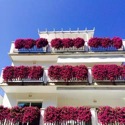 Residence Hotel Ola Cervia, Milano Marittima - Orari di apertura
