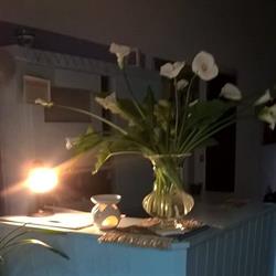 Residence Atlas, Cervia orari di apertura