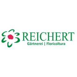 Reichert Floricoltura, Merano orari di apertura