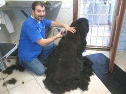 Regno Animale Di Giardino G. E Madrigali M. Snc, Pistoia orari di apertura