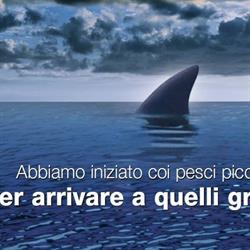 Reef International Sas Di Zibetti Paola & C., Gallarate orari di apertura