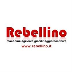 Rebellino sas, Pietrasanta orari di apertura