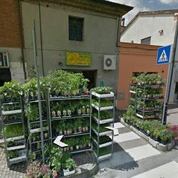 Ravaglia Gerardo Di Ravaglia Claudio, Lugo orari di apertura