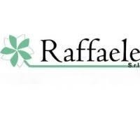 Raffaele SRL Latina, Borgo Sabotino - Orari di apertura