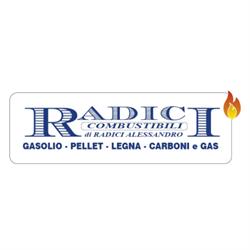 Radici Combustibili di Radici Alessandro, Edolo orari di apertura
