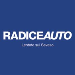 Radice Auto, Lentate sul Seveso orari di apertura