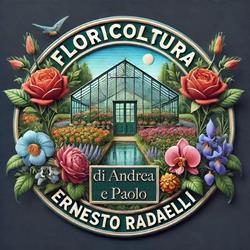 Radaelli Ernesto, Lissone orari di apertura