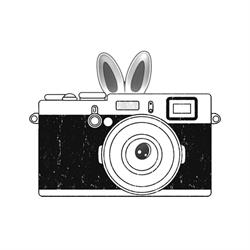 Quick Photo Center, Mirandola orari di apertura