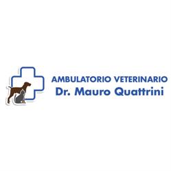 Ambulatorio Veterinario Quattrini Dr. Mauro, Arcidosso orari di apertura