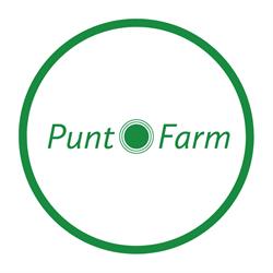 Puntofarm Di Laierno Antonia, Brindisi orari di apertura