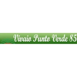 Punto Verde 85, Roma orari di apertura
