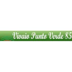 Punto Verde 85, Roma orari di apertura