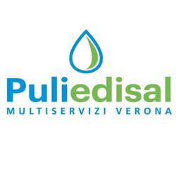 Puliedisal (Srl), Verona orari di apertura