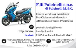 F.LLI PULCINELLI, San Michele al Fiume orari di apertura