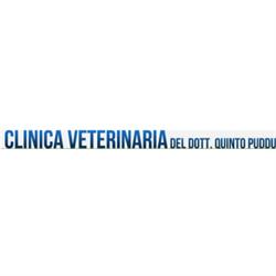 VET CLINIC - PRONTO SOCCORSO VETERINARIO OLBIA Dott. Puddu - h24 su chiamata, Olbia orari di apertura