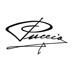 Puccio Calzature, Torino orari di apertura