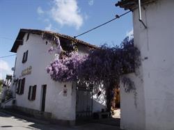 Trattoria Dei Platani, Comazzo orari di apertura
