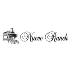 Ristorante Nuovo Ranch, Ponte di Piave orari di apertura