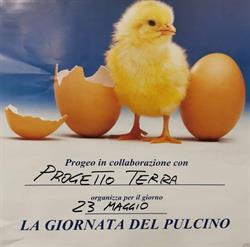 Progetto Terra Di Giglioli Riccardo, Molinella orari di apertura