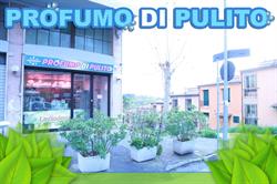 Profumo Di Pulito, Perugia orari di apertura