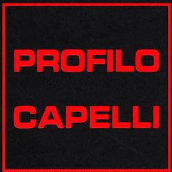 Profilo Capelli Di Geuna Fabrizio, Pinerolo orari di apertura