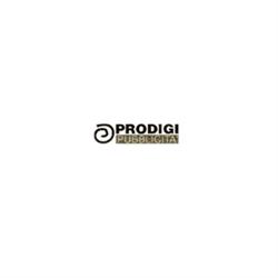 Prodigi Srl, Gallarate orari di apertura