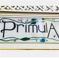Primula Di Montuori Aniello, Nocera Inferiore orari di apertura
