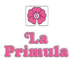 Primula SRL, Poggiomarino orari di apertura