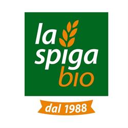 Albio SRL, Vidor orari di apertura