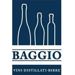 Baggio S.r.l., San Zenone degli Ezzelini orari di apertura