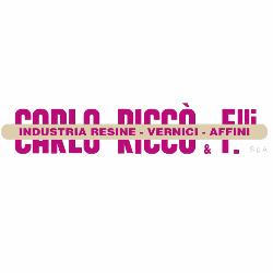 Carlo Ricco' & F.lli Spa, Correggio orari di apertura