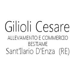 Commercio e Allevamento Cesare Gilioli, Sant'Ilario d'Enza orari di apertura
