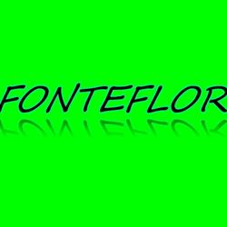 Fonteflor Di Segatto Sergio & C. S.a.s., Gaiarine orari di apertura