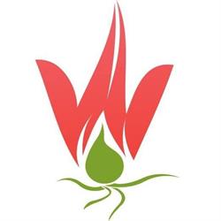 Moonflower SRL, Mogliano Veneto orari di apertura