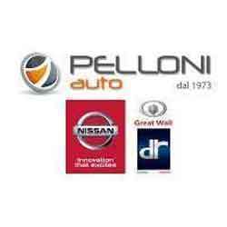 Pelloni Auto - Nissan, DR Auto, EVO, Mitsubishi, EMC, SsangYong, Aiways, Great Wall, Modena orari di apertura