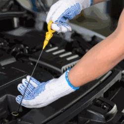 Trevisan Autoservice Sas officina BOSCH Car Service, Rossano Veneto orari di apertura