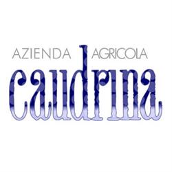 Azienda Agricola Caudrina, Castiglione Tinella orari di apertura