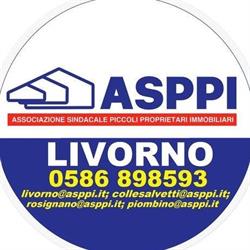 A.s.p.p.i. Assoc. Sind. Piccoli e Medi Proprietari Immobil., Livorno orari di apertura