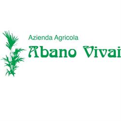 Abano Vivai, Abano Terme orari di apertura