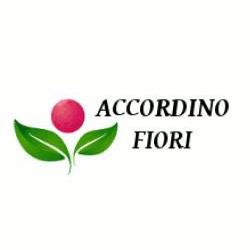 Accordino Fiori, Gioiosa Marea orari di apertura