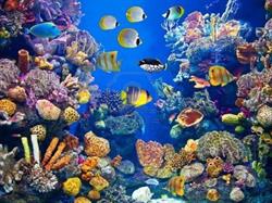 Acquario, Terni orari di apertura